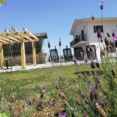 Abrigo Das Andorinhas Aveiro Exteriör bild
