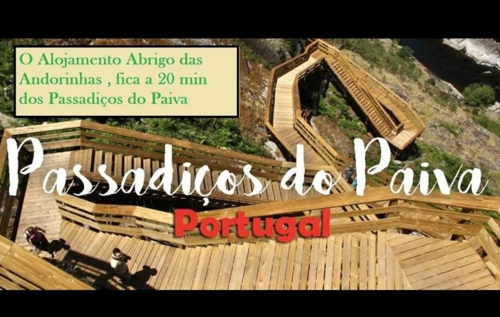 Abrigo Das Andorinhas Aveiro Exteriör bild
