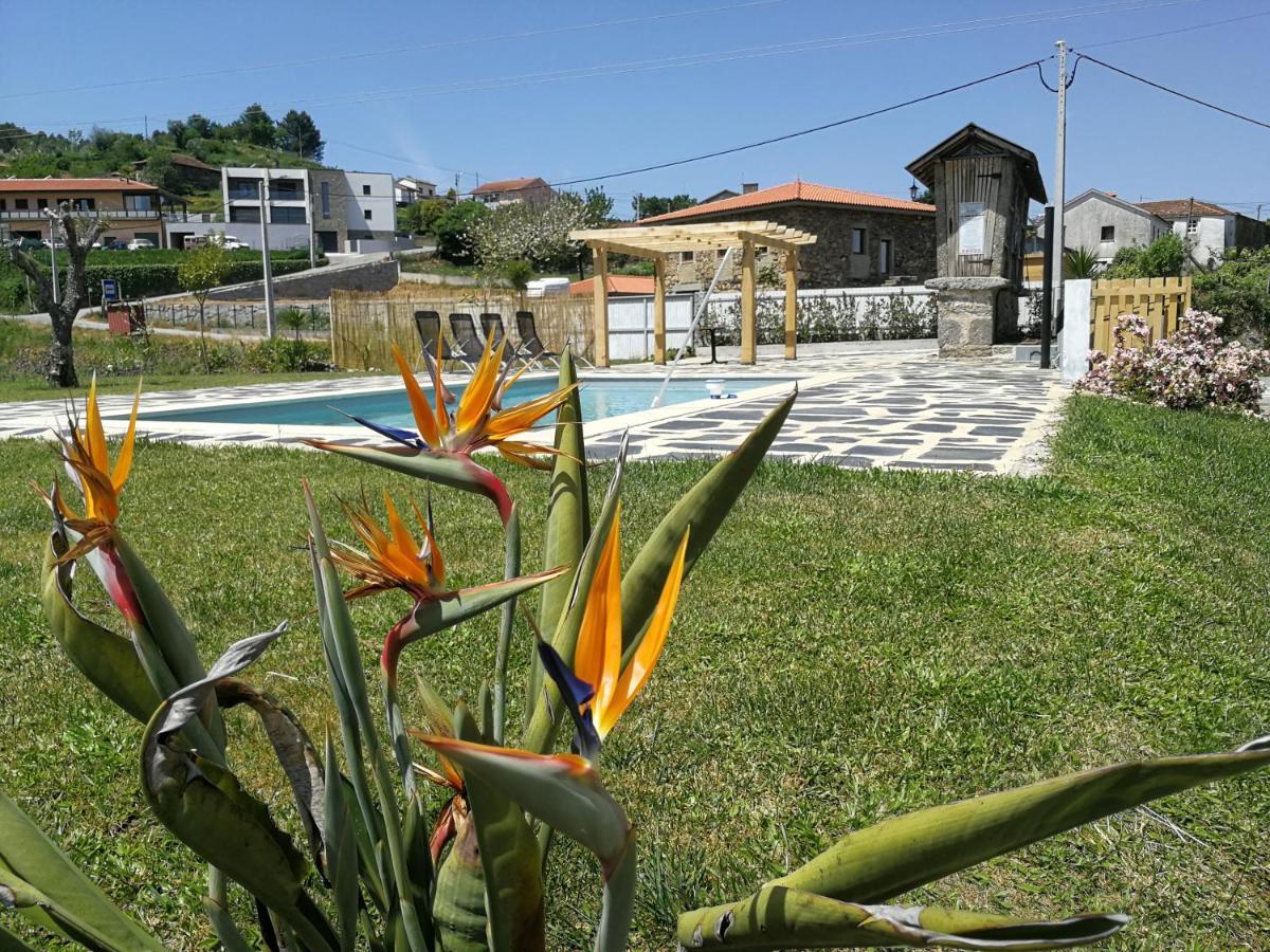 Abrigo Das Andorinhas Aveiro Exteriör bild